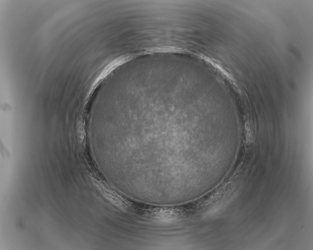 X0000091091266200708061629