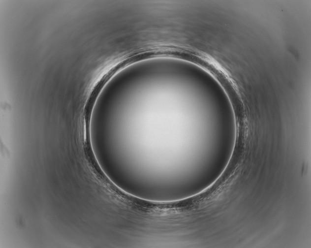 X0000091091269200708061629