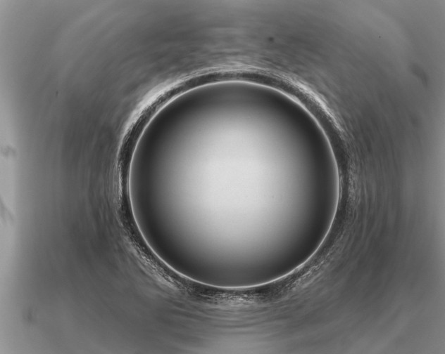 X0000091091270200708061629
