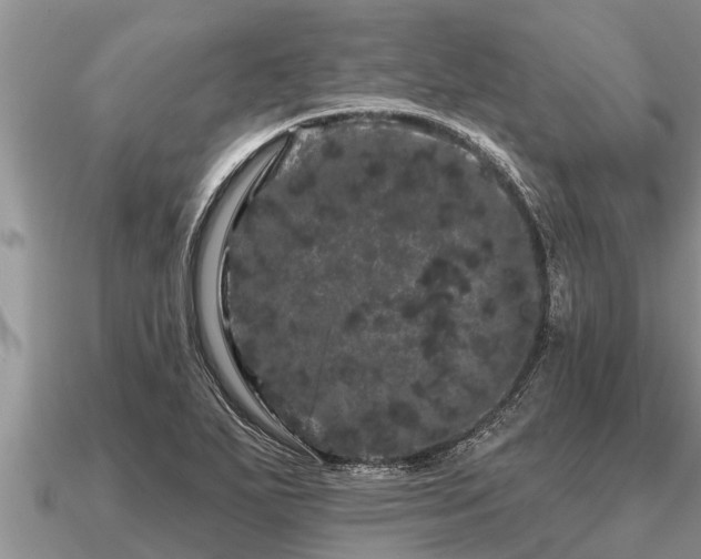 X0000091091271200708061629