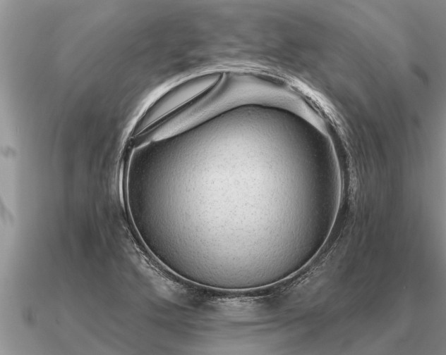 X0000091091272200708061629