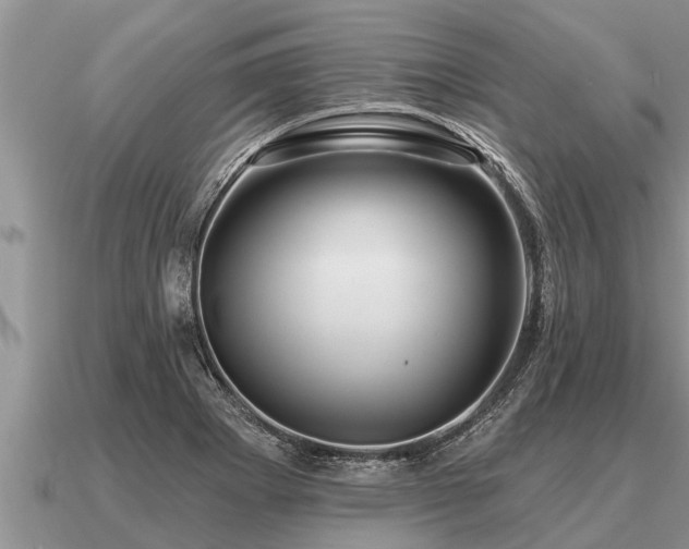 X0000091091273200708061629