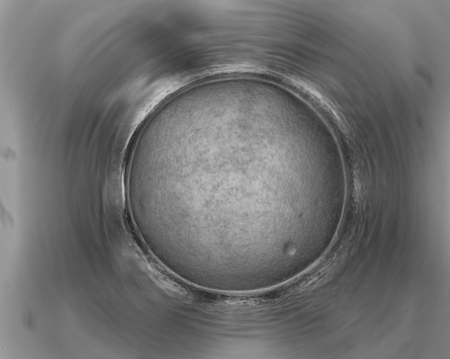 X0000091091274200708061629
