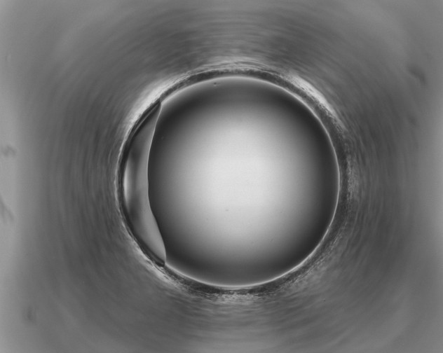 X0000091091277200708061629