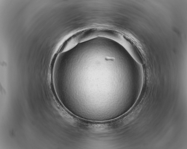 X0000091091280200708061629