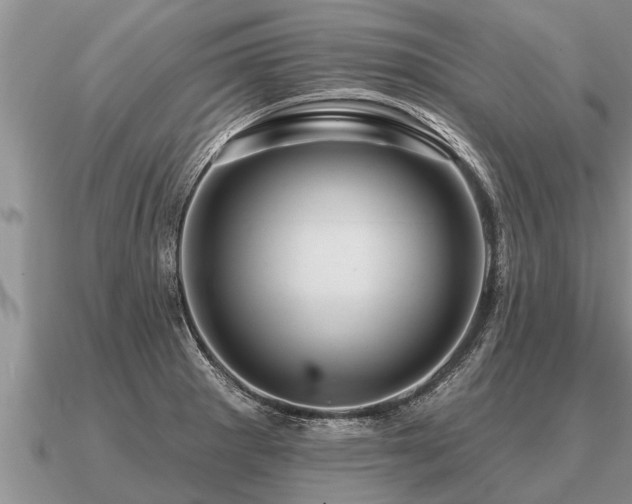 X0000091091281200708061629