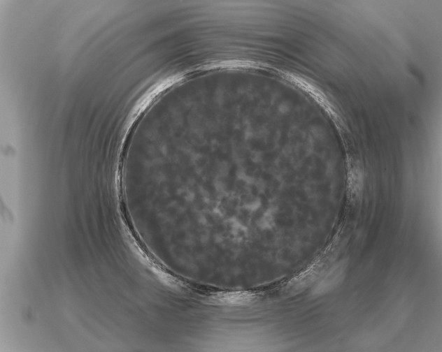 X0000091091282200708061629