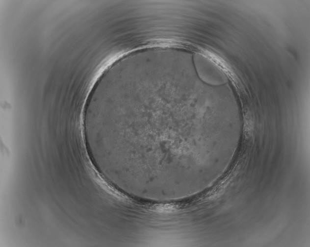 X0000091091283200708061629