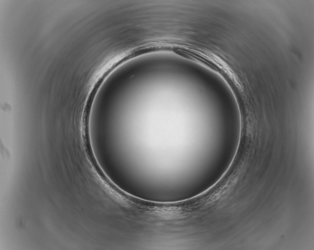 X0000091091285200708061629