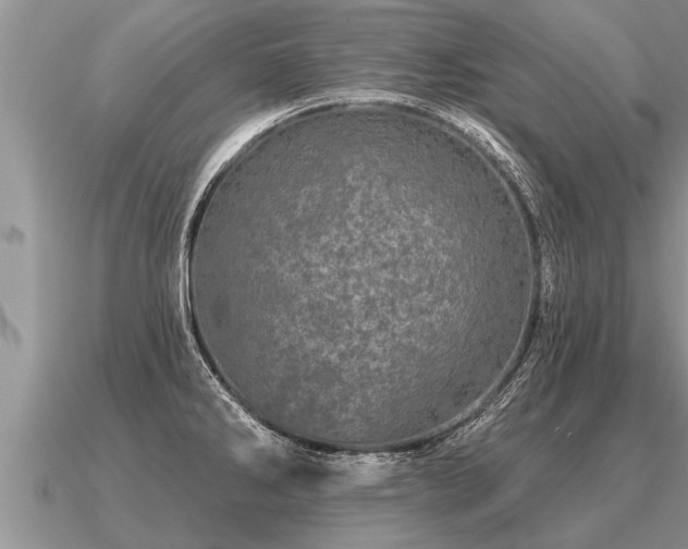 X0000091091286200708061629