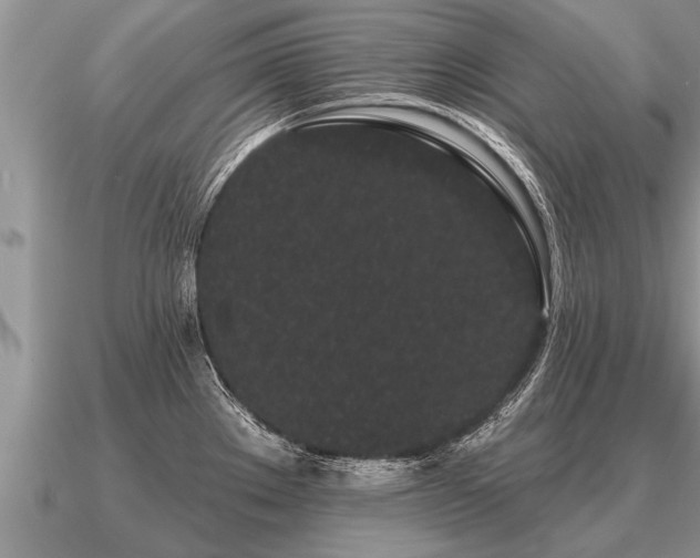 X0000091091289200708061629