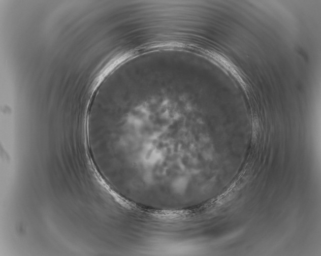 X0000091091290200708061629