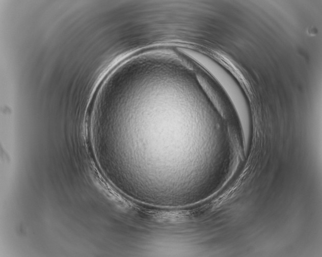 X0000091091292200708061629