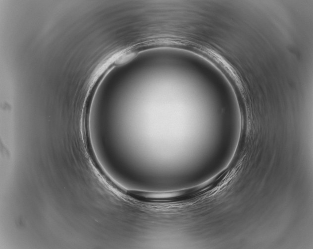 X0000091091293200708061629