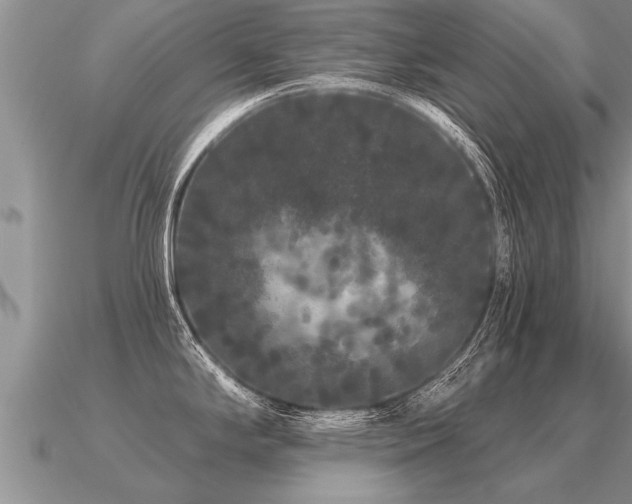X0000091091294200708061629