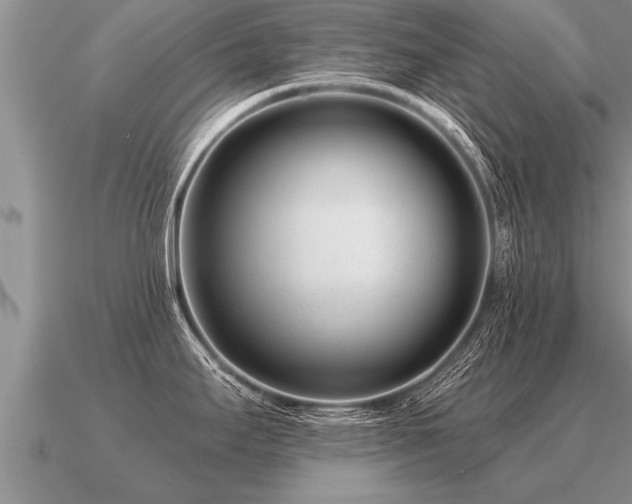 X0000091091295200708061629