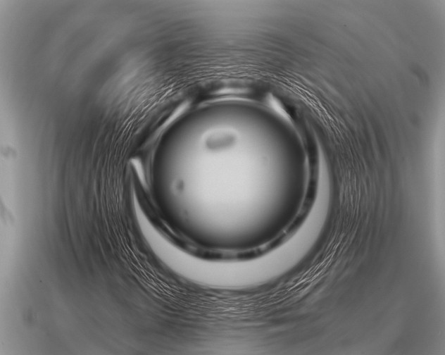 X0000091091298200708061628