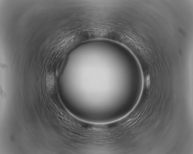 X0000091091299200708061628