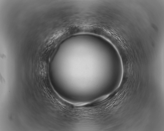 X0000091091301200708061628