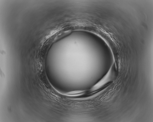 X0000091091303200708061628