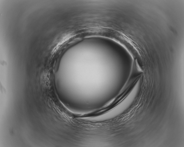 X0000091091304200708061628