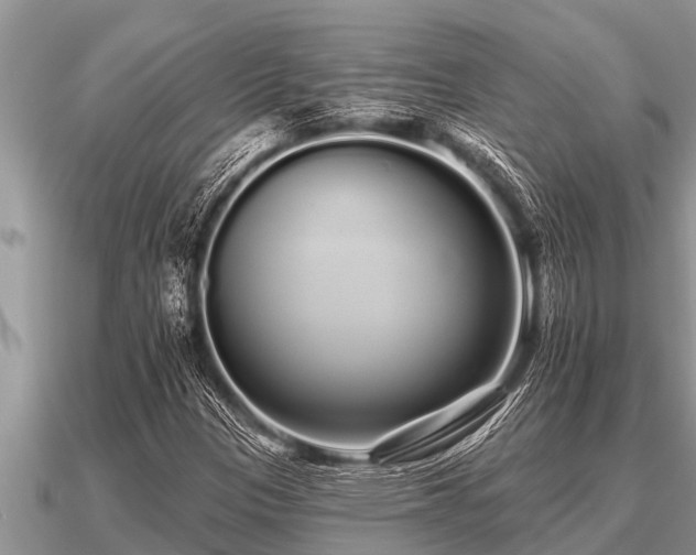 X0000091091305200708061628
