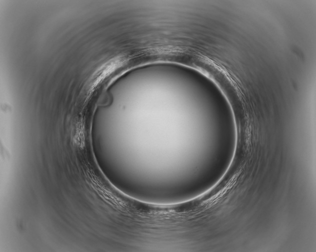 X0000091091306200708061628