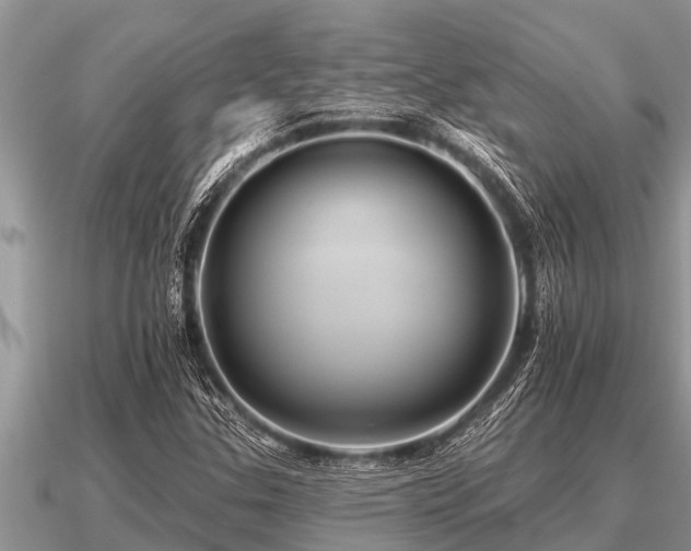 X0000091091307200708061628