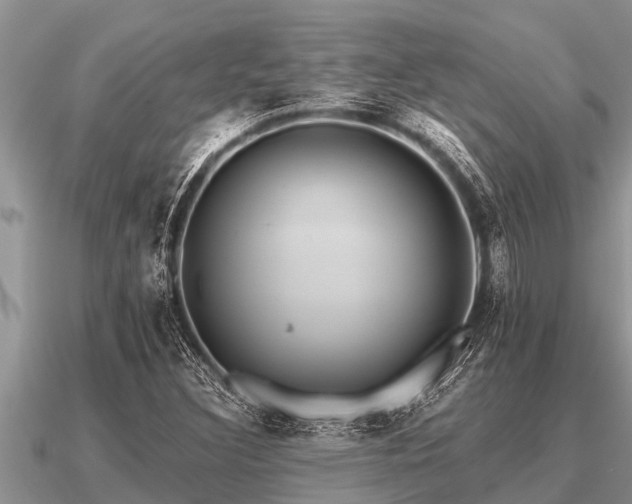 X0000091091308200708061628