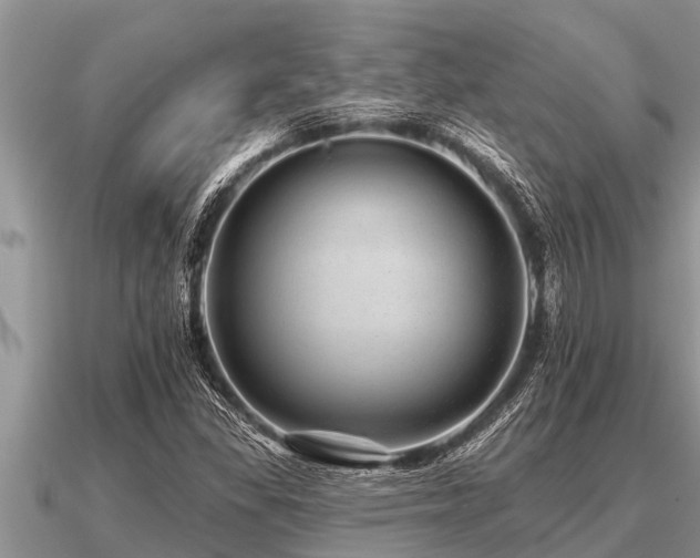 X0000091091309200708061628