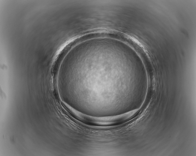 X0000091091310200708061628