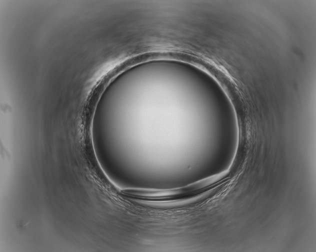 X0000091091311200708061628