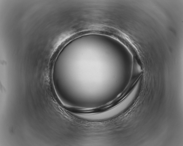 X0000091091312200708061628
