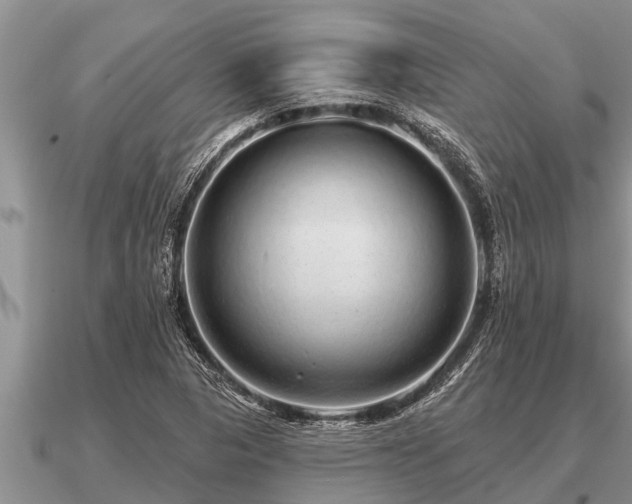 X0000091091313200708061628