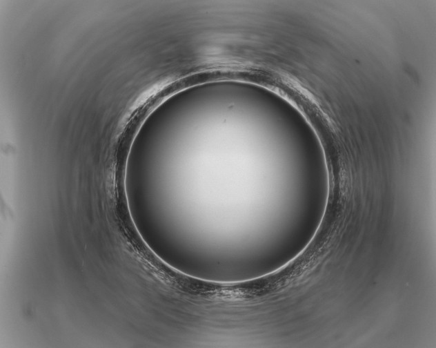 X0000091091315200708061629