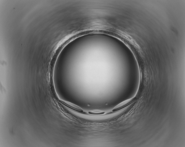 X0000091091316200708061629