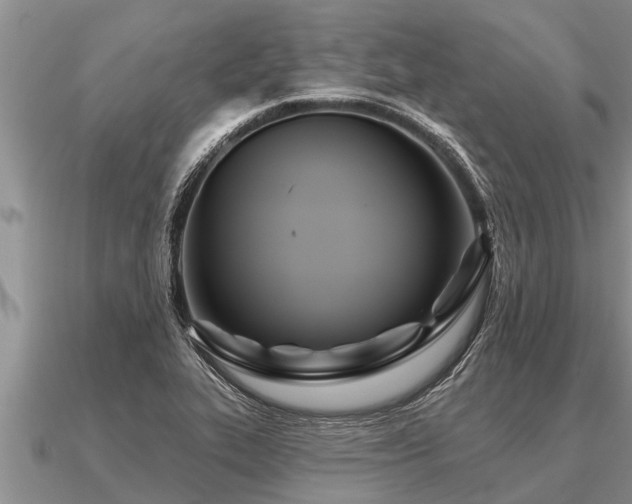 X0000091091319200708061629