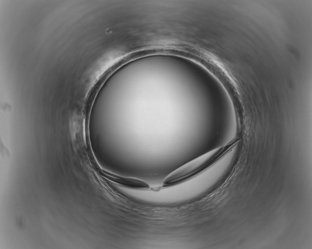 X0000091091320200708061629