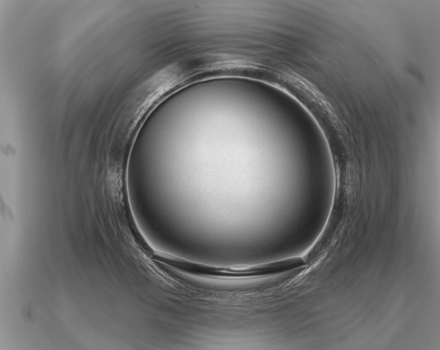 X0000091091321200708061629