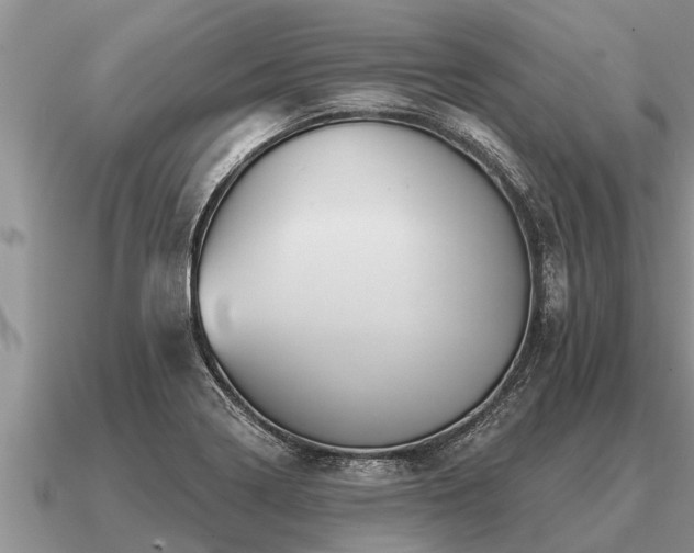 X0000091091322200708061629