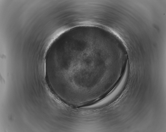 X0000091091323200708061629