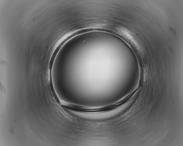 X0000091091324200708061629
