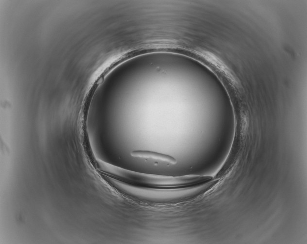 X0000091091325200708061629