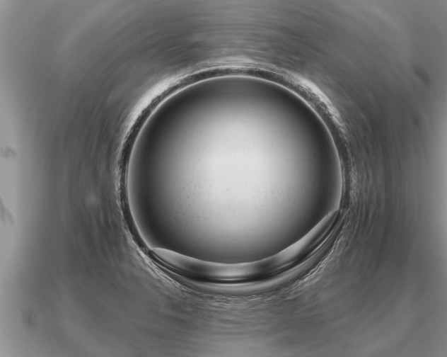 X0000091091326200708061629