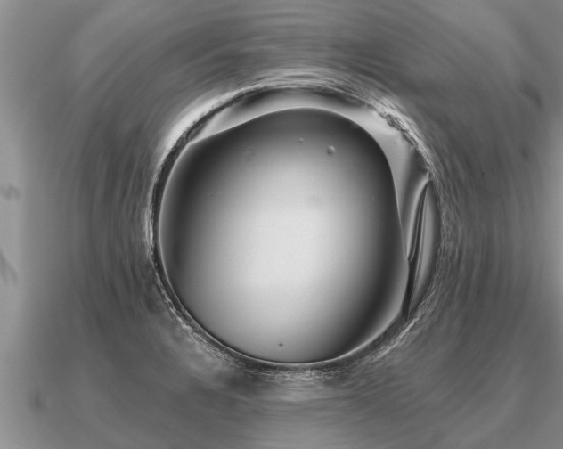 X0000091091328200708061629