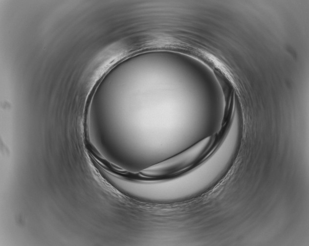 X0000091091330200708061629