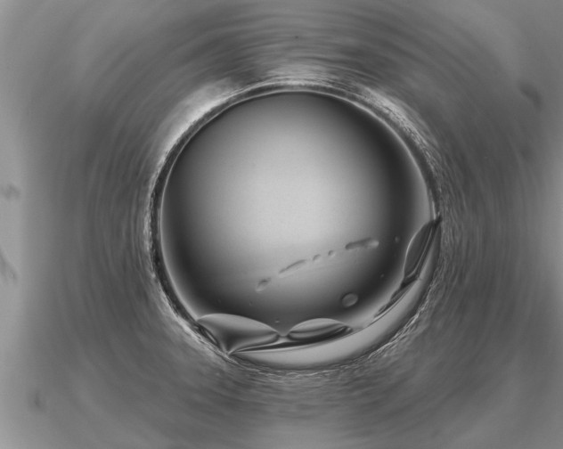 X0000091091331200708061629