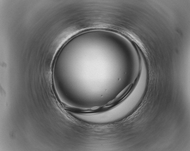 X0000091091332200708061629