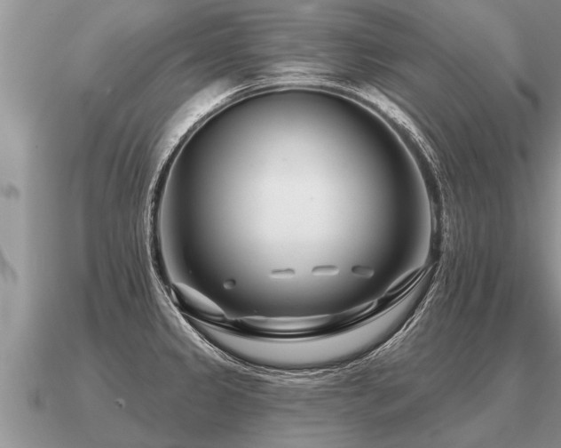 X0000091091333200708061629
