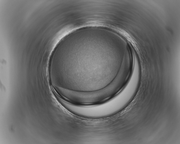 X0000091091334200708061629